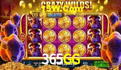 Jackpots e promoções na 365GG